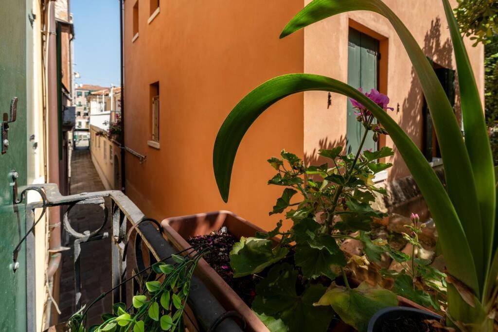 Apartamento Ca' Mandorla 027042loc09523 Venecia