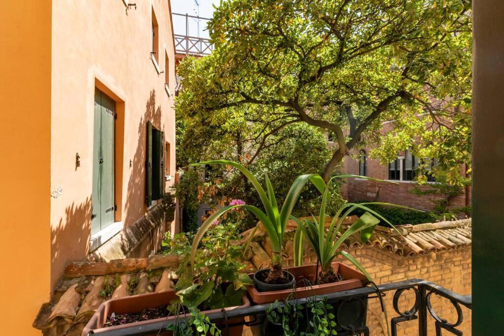 Ca' Mandorla 027042loc09523 Apartamento *